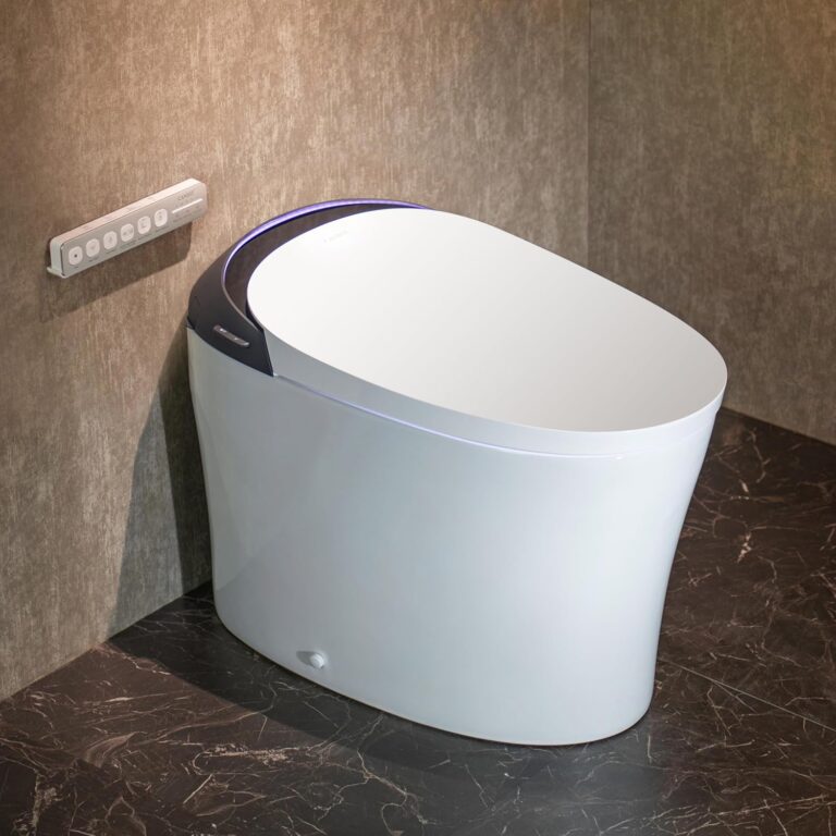 CANEST Smart Toilet Review: Unbiased Pros & Cons 9 Image 1 of CANEST smart toilet review