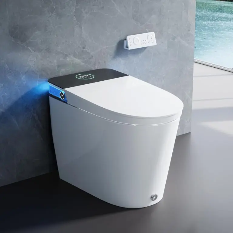 Image 1 of HOROW smart toilet review